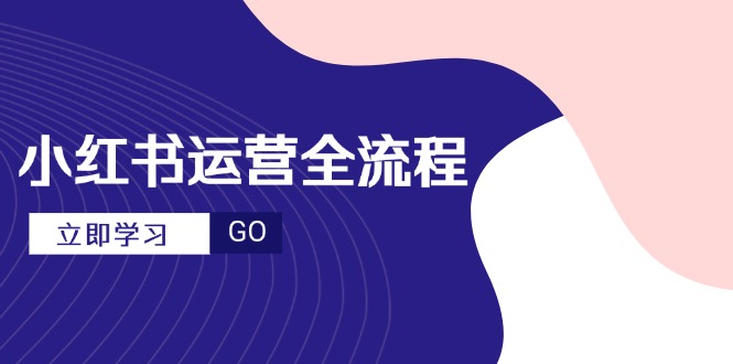 小红书运营全流程，爆款选题文案，视频制作技巧，进阶达人宝典-奇奇网创