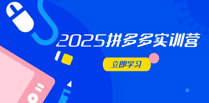 2025拼多多实训营：深度剖析运营关键，助力电商人快速提升-奇奇网创