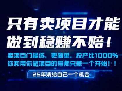 只有卖项目才能做到稳挣不赔，门槛低，更简单，你也可以年入百个W【揭秘】-奇奇网创
