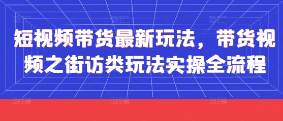 短视频带货最新玩法，带货视频之街访类玩法实操全流程-奇奇网创