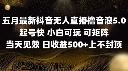 2025五月最新无人直播撸音浪单日产出5张+实操教程【揭秘】-奇奇网创