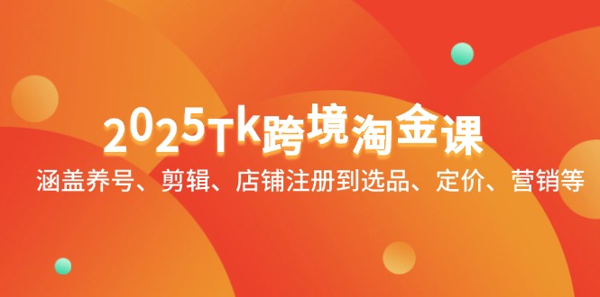 2025Tk跨境淘金课：涵盖养号、剪辑、店铺注册到选品、定价、营销等-奇奇网创
