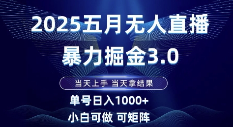 2025五月无人直播暴力掘金3.0，当天上手，当天拿结果，单号日入1k+小白可做可矩阵【揭秘】-奇奇网创