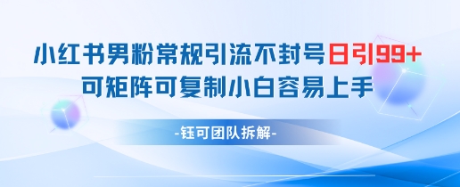 小红书男粉常规引流不封号日引99+变现简单 可矩阵可复制小白容易上手-奇奇网创