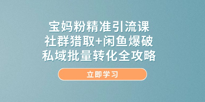 宝妈粉精准引流课，社群猎取+闲鱼爆破，私域批量转化全攻略-奇奇网创