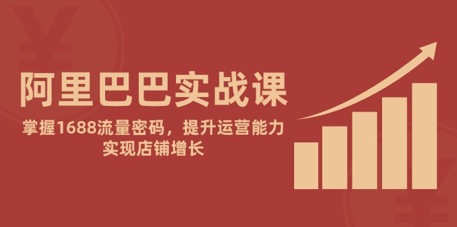阿里巴巴实战课：掌握1688流量密码，提升运营能力，实现店铺增长-奇奇网创