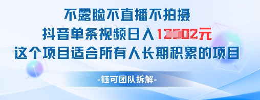不露脸不直播不拍摄抖音单条视频日入1k+这个项目适合所有人长期积累的项目-奇奇网创