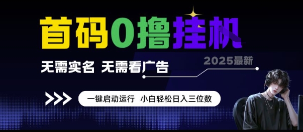 首码0撸挂G项目，无需实名无需看广告 一键启动运行，小白轻松日入三位数【揭秘】-奇奇网创