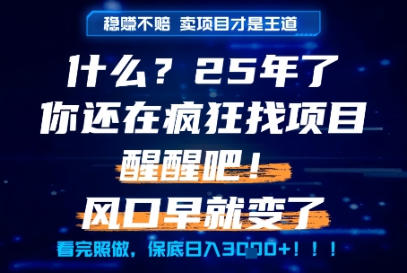 什么？25年你还在疯狂找项目做，醒醒吧，看完这些你全都懂了！【揭秘】-奇奇网创