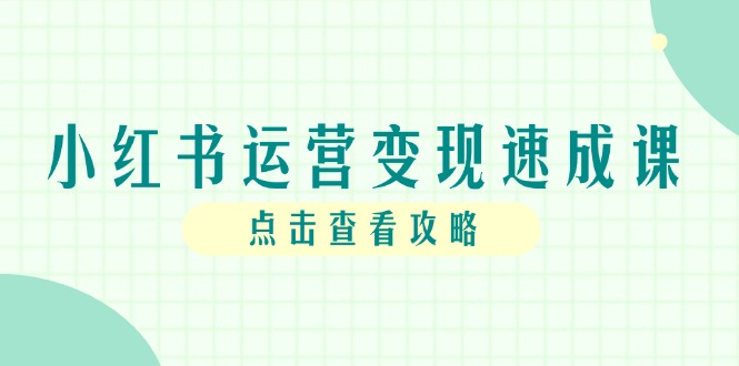 小红书运营变现速成课，账号搭建到暴力起号，个人IP全流程指南-奇奇网创
