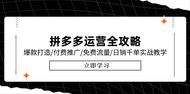 拼多多运营全攻略，爆款打造/付费推广/免费流量/日销千单实战教学/6月更新-奇奇网创