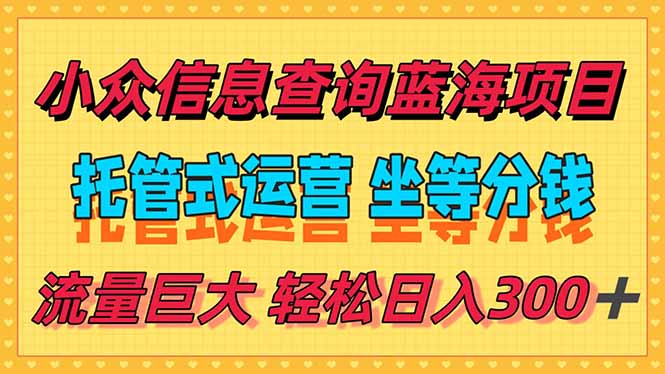 稳定日入300＋，小众信息查询蓝海项目，全程懒人式托管，解放你的时间-奇奇网创