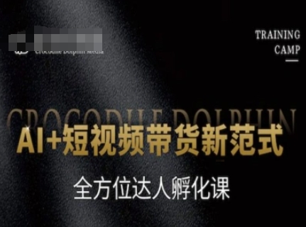 AI+短视频带货新范式，全方位达人孵化课-奇奇网创