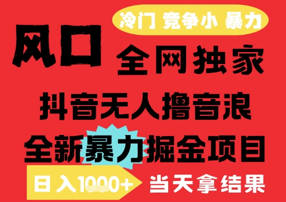 25年6月高爆抖音无人直播最新撸音浪掘金项目，解放双手小白可做，无脑日入1k+，门槛低【揭秘】-奇奇网创