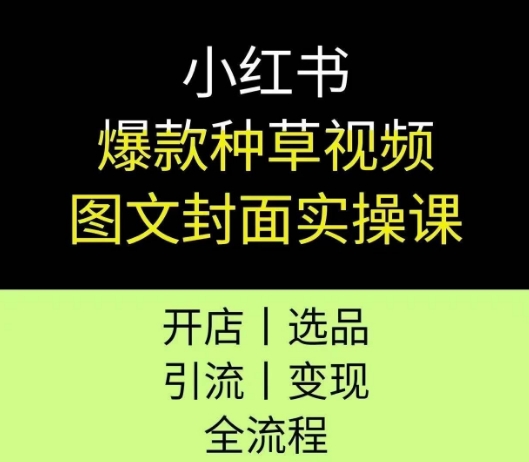 小红书爆款种草视频图文封面实操课，开店、选品、引流、变现全流程-奇奇网创