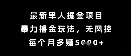 最新单人掘金项目，暴力撸金玩法，无风控，每个月多挣5k+【揭秘】-奇奇网创