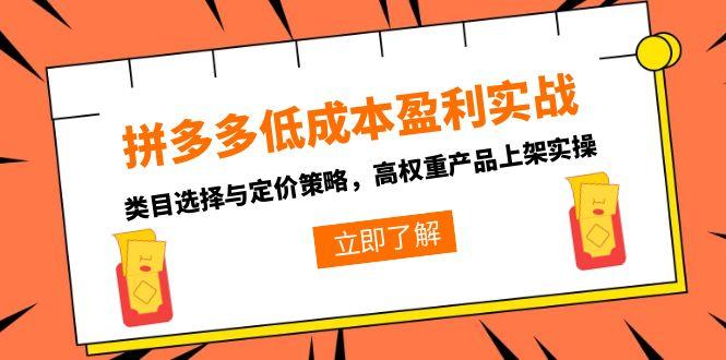 拼多多低成本盈利实战，类目选择与定价策略，高权重产品上架实操-奇奇网创