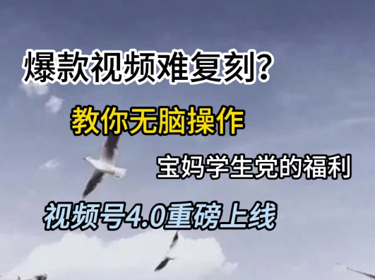视频号4.0重磅上线,爆款视频难复刻?教你无脑操作宝妈学生党的福利【揭秘】-奇奇网创