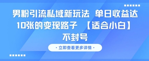 男粉引流私域新玩法，单日收益达10张的变现路子 【适合小白】不封号-奇奇网创