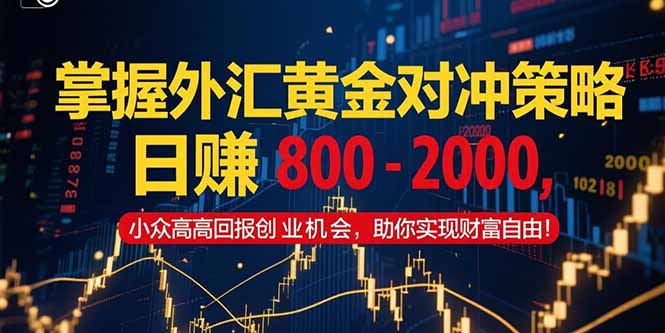 掌握外汇黄金对冲策略，日赚 800 – 2000，小众高回报创业机会，助你实…-奇奇网创