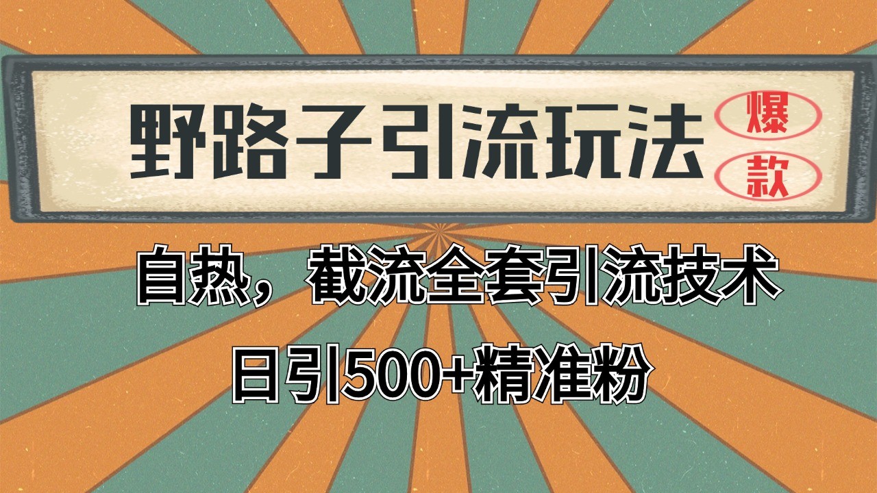 2024首发野路子引流玩法截流自热全平台打法，全自动引流【日引2000+精准客户】-奇奇网创