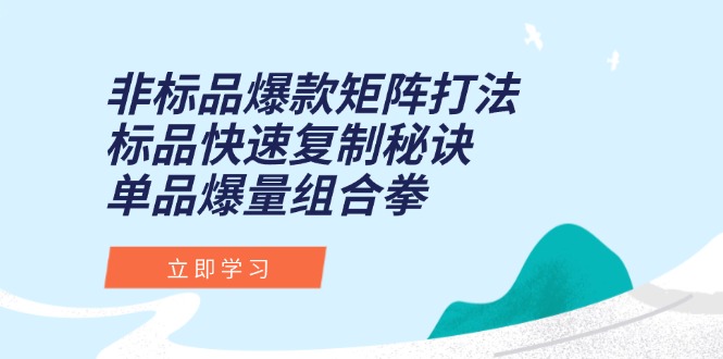非标品爆款矩阵打法，标品快速复制秘诀，单品爆量组合拳-奇奇网创
