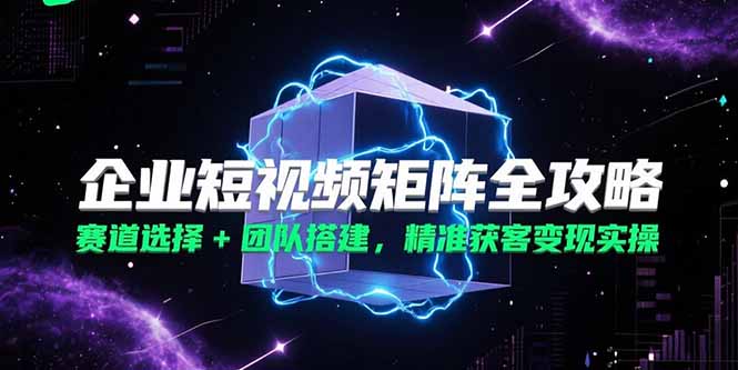企业短视频矩阵全攻略，赛道选择+团队搭建，精准获客变现实操-奇奇网创
