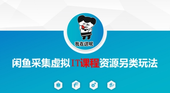闲鱼采集虚拟IT课程资源另类玩法，干货满满-奇奇网创