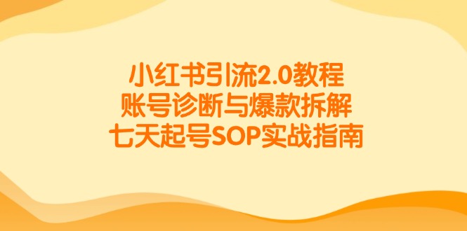 小红书引流2.0教程，账号诊断与爆款拆解，七天起号SOP实战指南-奇奇网创