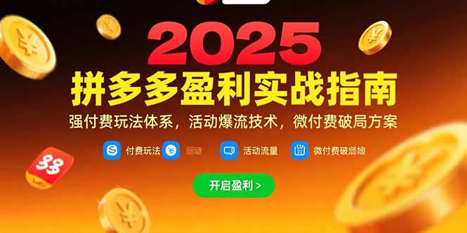 拼多多盈利实战指南，强付费玩法，活动爆流技术，微付费破局方案(更新7月-奇奇网创