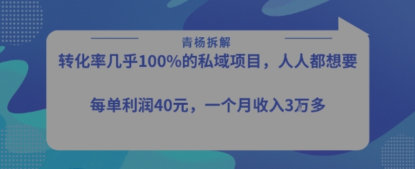 转化率最高的私域项目，每单利润40-50米，月入过1w-奇奇网创