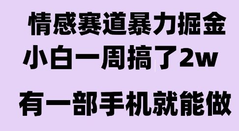 情感暴力掘金项目，新人操作一周挣了2W，长期稳定小白可做【揭秘】-奇奇网创
