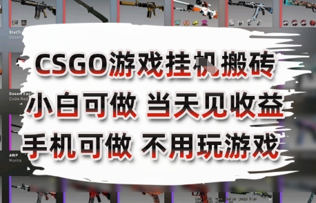CSGO游戏挂G搬砖，小白纯手机即可操作，不用电脑打游戏，日入3张+，副业网创项目【揭秘】-奇奇网创