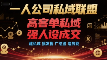 一人公司私域联盟，高客单私域，强人设成交，建私域 搞发售 广结盟 造势能-奇奇网创