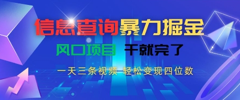 信息查询暴力掘金，一天三条视频，轻松变现四位数，风口项目干就完了【揭秘】-奇奇网创