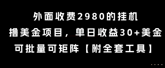 外面收费2980的挂G撸美金项目，单日收益30+美金，可批量可矩阵【揭秘】-奇奇网创