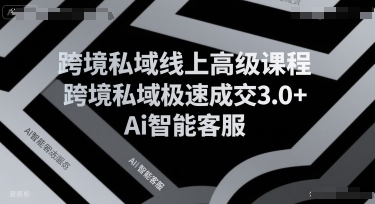 跨境私域线上高级课程，跨境私域极速成交3.0+Ai智能客服-奇奇网创