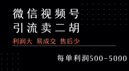 视频号卖二胡教程，利润大 易成交 售后少，一单利润5张+-奇奇网创