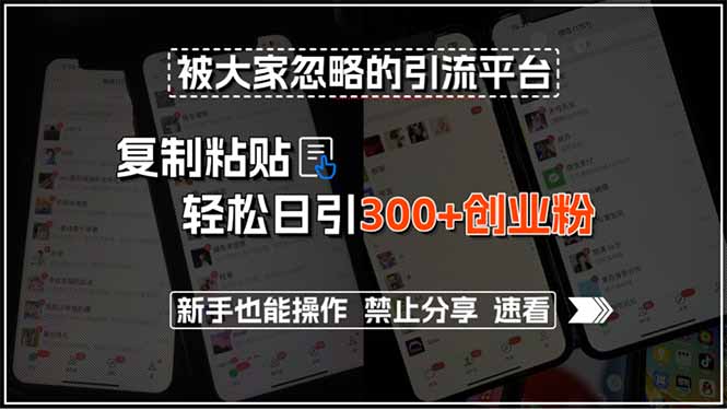 被大家忽略的引流平台，复制粘贴轻松日引300+创业粉，新手也能操作，禁…-奇奇网创