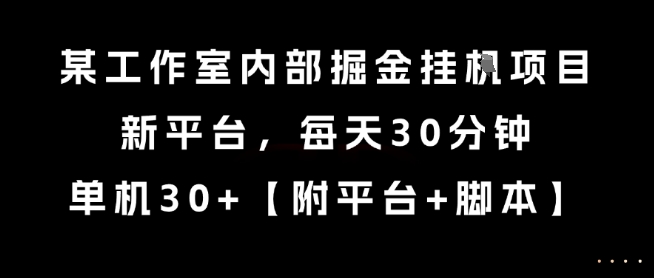 某工作室内部掘金挂G项目，新平台，每天30分钟，单机30+【揭秘】-奇奇网创