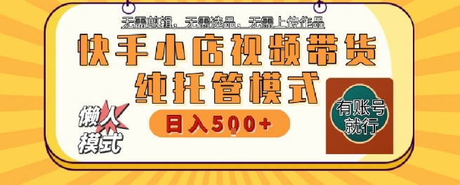 快手小店托管代运营，无需剪辑，无需选品，无需上传作品，全程无需操作，轻松月入5k+【揭秘】-奇奇网创