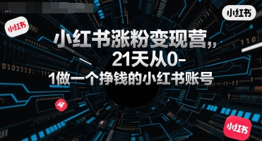小红书涨粉变现营，21天从0-1做一个挣钱的小红书账号-奇奇网创