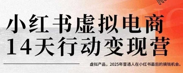 小红书虚拟电商14天变现训练营，虚拟产品，2025年普通人在小红书最后的搞钱机会-奇奇网创