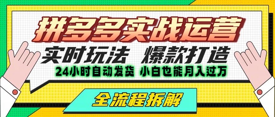 拼多多最新实战运营高投产：长久稳定项目，单店利润一天三位数-奇奇网创