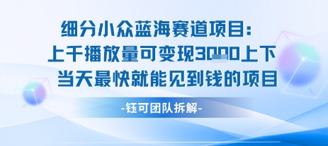 小众蓝海赛道项目：当天变现1k+适合新手操作 +适合长期玩-奇奇网创