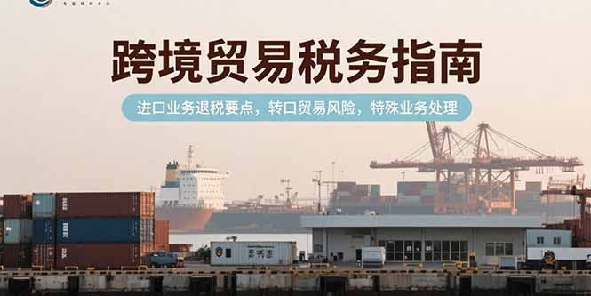 跨境贸易税务指南，进口业务退税要点，转口贸易风险，特殊业务处理-奇奇网创