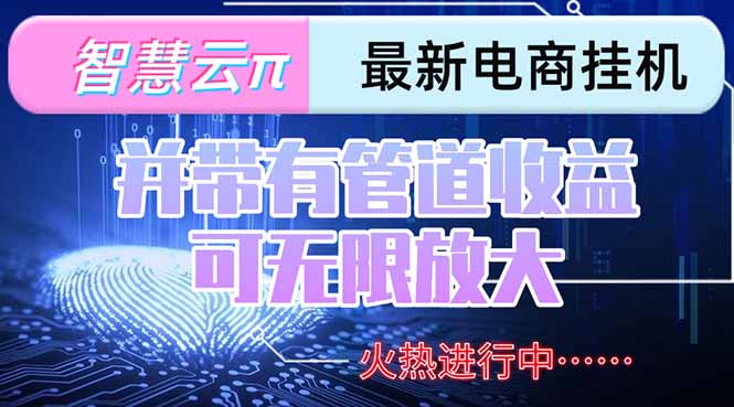 智慧云π电脑挂机单机每天收益300—500+ 并带有团队管道收益 可无限放大-奇奇网创