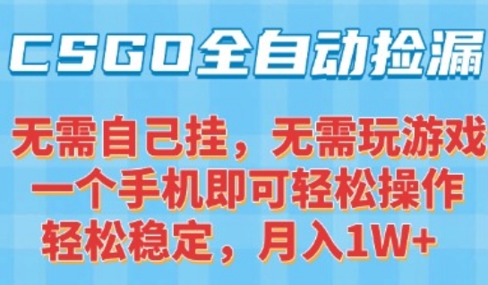 CSGO自动捡漏项目，最新独家玩法，一个手机可操作，新手小白轻松月入1W+，操作简单易上手【揭秘】-奇奇网创