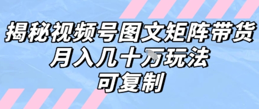 解密视频号图文矩阵带货，月入几个W的打法，可复制-奇奇网创