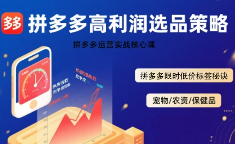 拼多多选品暴利技术实战课，拼多多高利润选品策略，拼多多限时低价标签秘诀-奇奇网创
